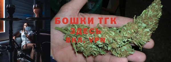 ПСИЛОЦИБИНОВЫЕ ГРИБЫ Алексеевка
