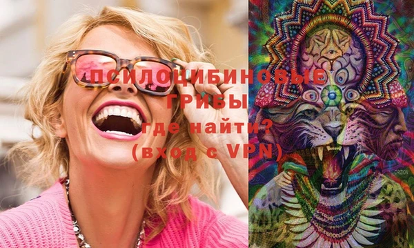 дурь Алзамай