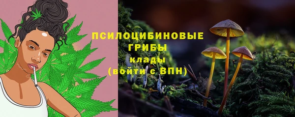 мескалин Алексин